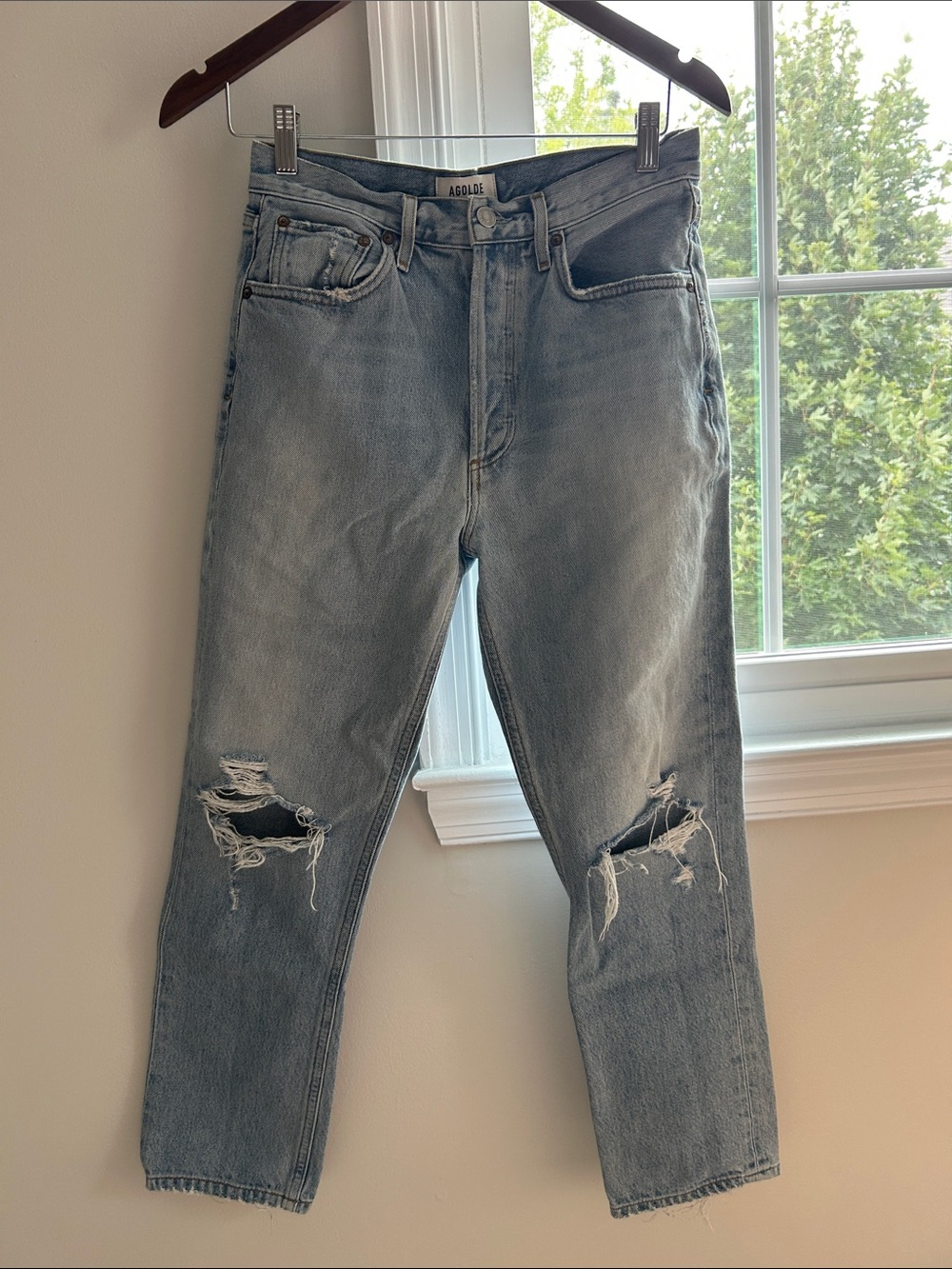 Agolde Riley Straight Leg Jeans